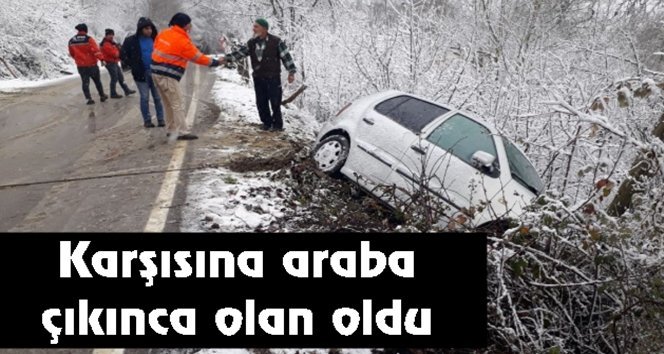 Yoldan çıkarak şarampole girdi…