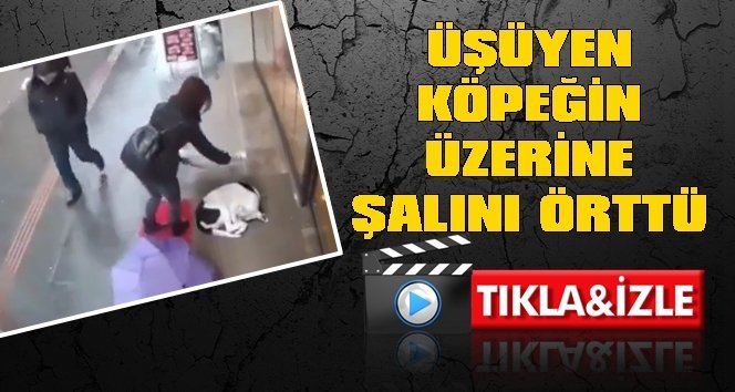 Bu görüntüler Zonguldak’tan….