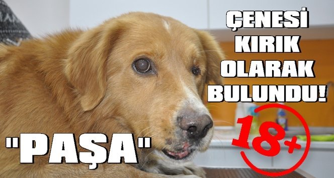 Bu kadarda vicdansızlık olmaz!.