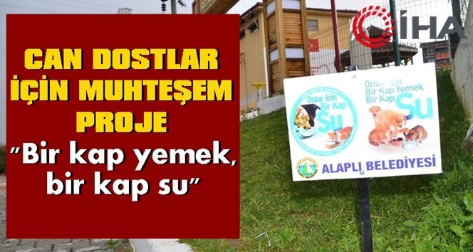 Sokak hayvanları unutulmadı…