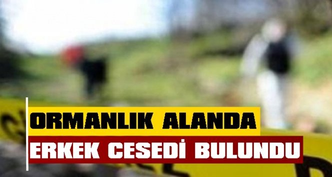 Acı haber!. Cansız bedeni bulundu…