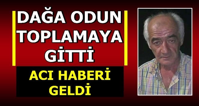 Ormanda kalbine yeni düştü