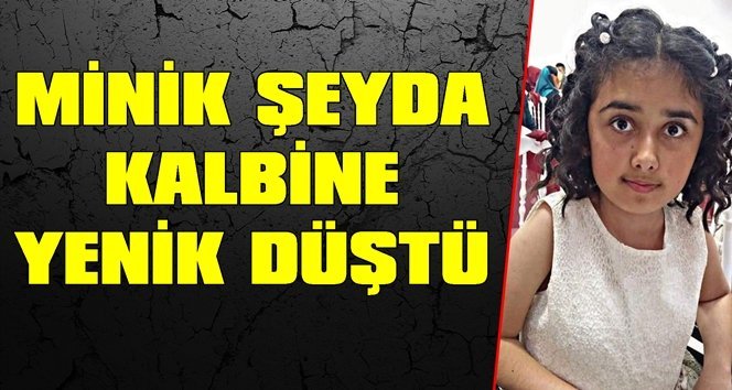 Alaplı yasa boğuldu, Şeyda kalbine yenik düştü…