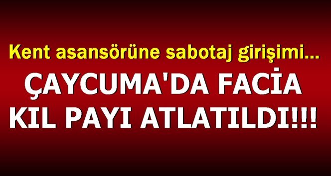 Vandallar işbaşında!. Ya fark edilmeseydi?