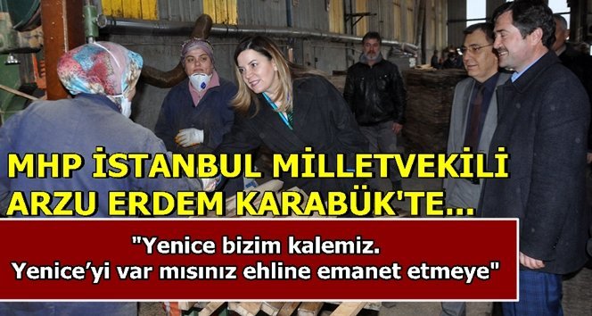 Milletvekili Arzum Erdem Yenice’den seslendi…