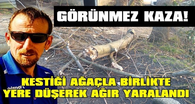 MHP Merkez İlçe Başkanın kardeşi ağaçtan düştü!