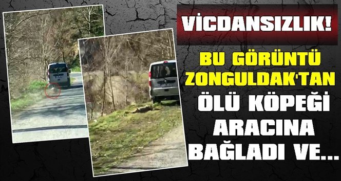 Ölü köpeği 2 kilometre sürükledi!.