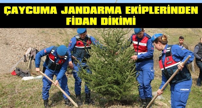 Jandarma personelinden fidan dikimi