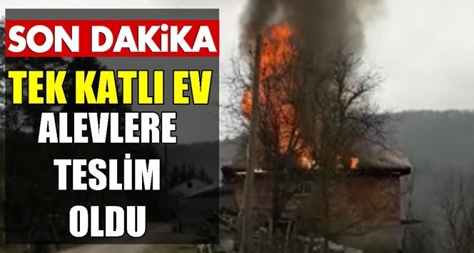 Tek katlı ev alevlere teslim oldu