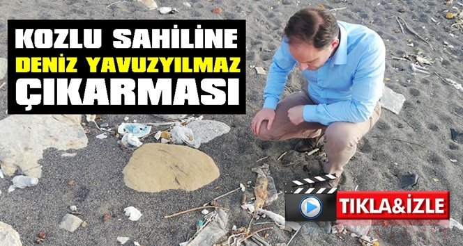 Deniz, deniz sahilinde şoka uğradı!.