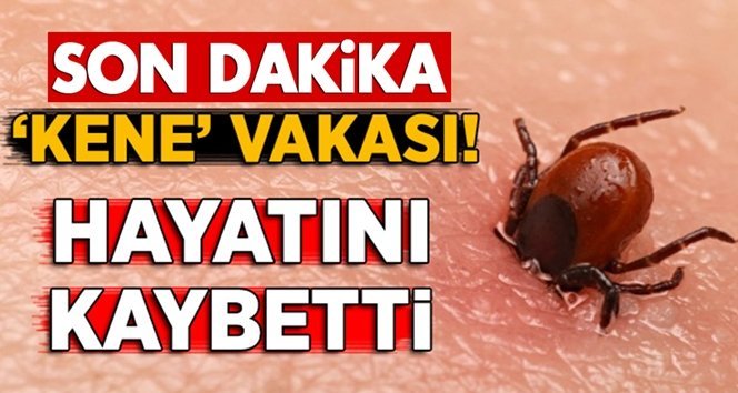 Baba keneden öldü, bebeği yaşam savaşı veriyor!.