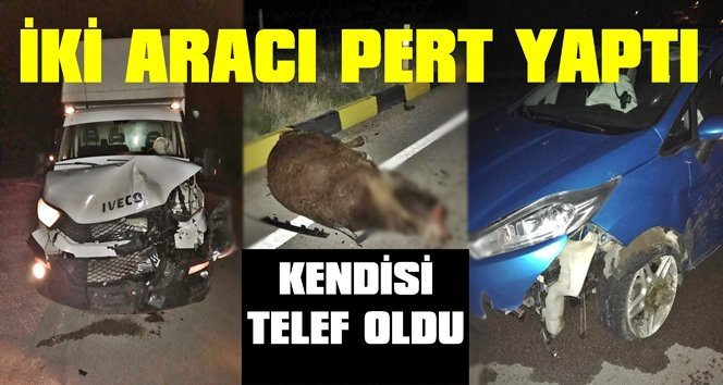 Yola aniden çıkan inek ortalığı birbirine kattı…