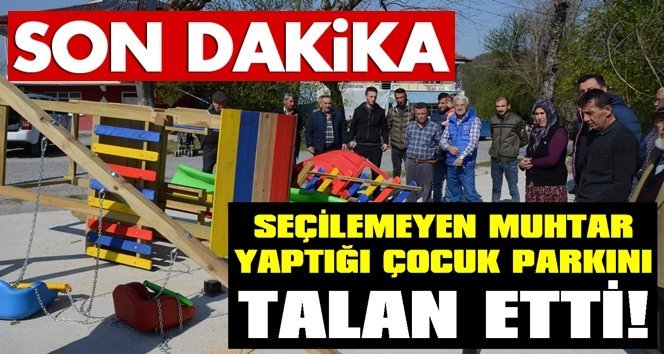 Çok ayıp etti!. Oyun parkını odun motoruyla biçti!.