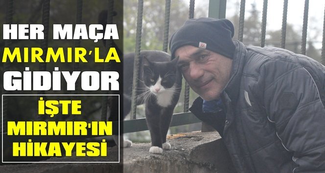 Tersanespor’un maskotu Mırmır’ın hikayesi…