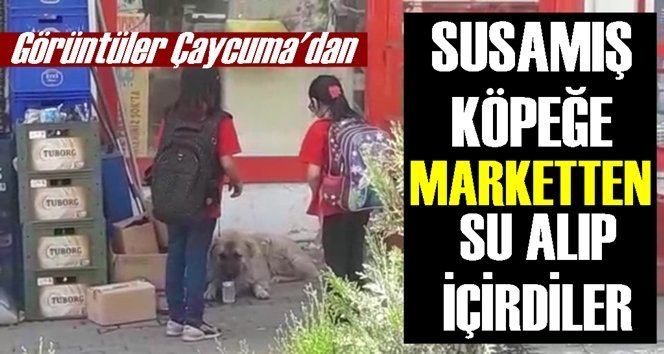 Herkesin içini ısıtan görüntüler…