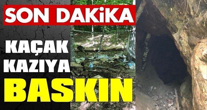 Defineciler jandarmaya yakalandı