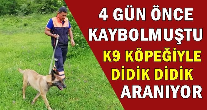 Kayıp şahıs K9 köpeğiyle aranıyor