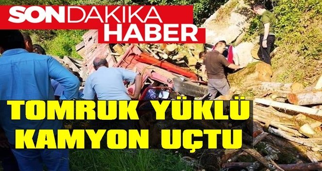 Facia; Tomruk yüklü kamyon menfeze uçtu!.