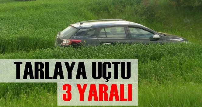 Otomobil tarlaya uçtu: 3 yaralı