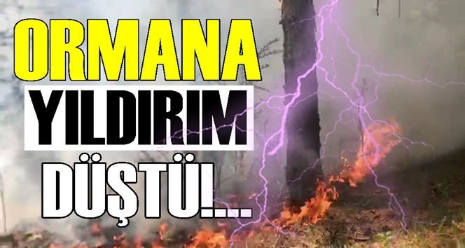 Yıldırım düşmesi sonucu ormanda yangın çıktı