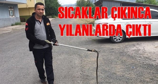 İtfaiyede yılan mesaisi…