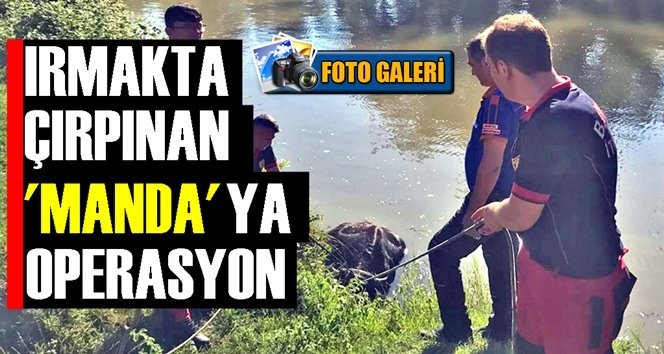 Mahsur kalan mandaya kurtarma operasyonu!.