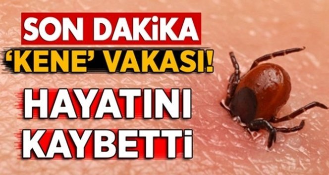 Kenenin ısırdığı şahıs hayatını kaybetti