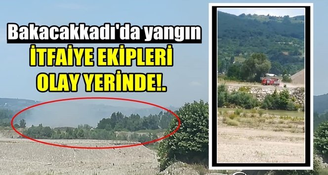 Orman yangını paniğe yol açtı!.