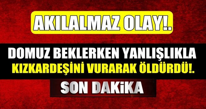 Domuz beklerken yanlışlıkla kız kardeşini vurdu