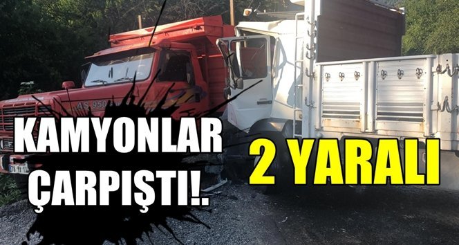 Kamyonlar çarpıştı: 2 yaralı