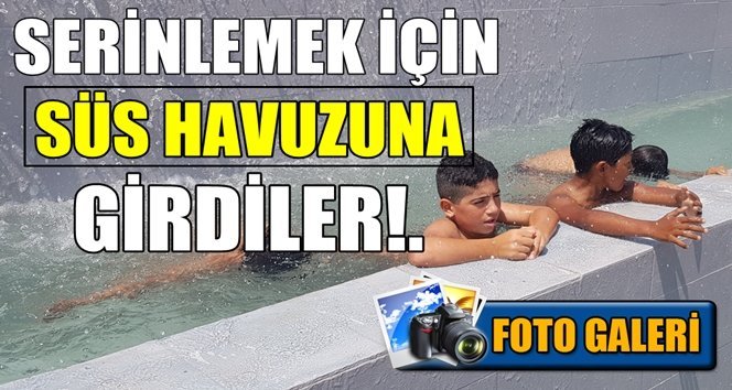 Süs havuzunda serinlediler…