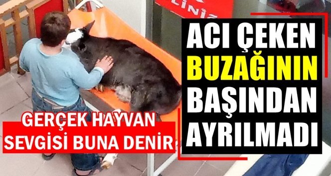 Elleriyle okşadı, nefesini kontrol etti…