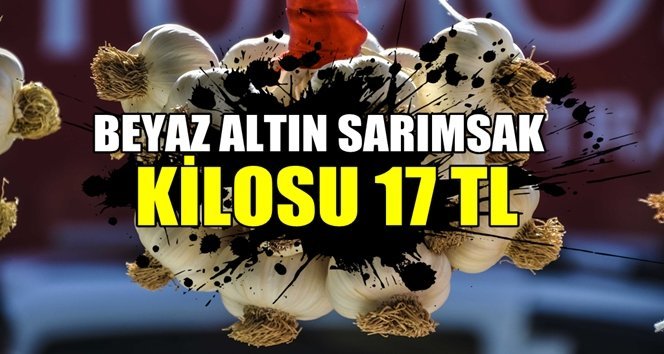 Beyaz Altın Sarımsak 17 TL’den alıcı buldu