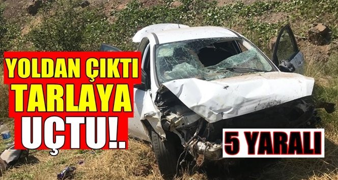 Otomobil tarlaya uçtu: 5 yaralı