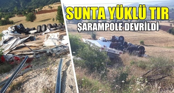 Sunta yüklü tır tarlaya devrildi