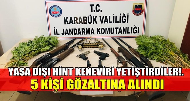 Hint keneviri yetiştiren 5 kişi gözaltına alındı