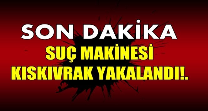Cinsel istismar, dolandırıcılık!. Suç makinesi YAKALANDI!.