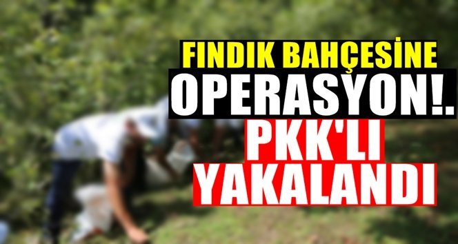 PKK’lı teröriste operasyon…