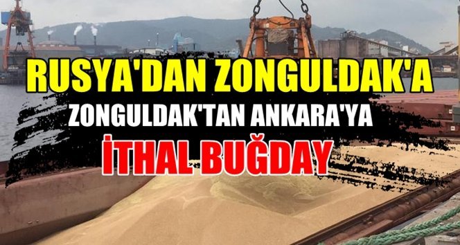 Rusya’dan gemiyle buğday geldi!.