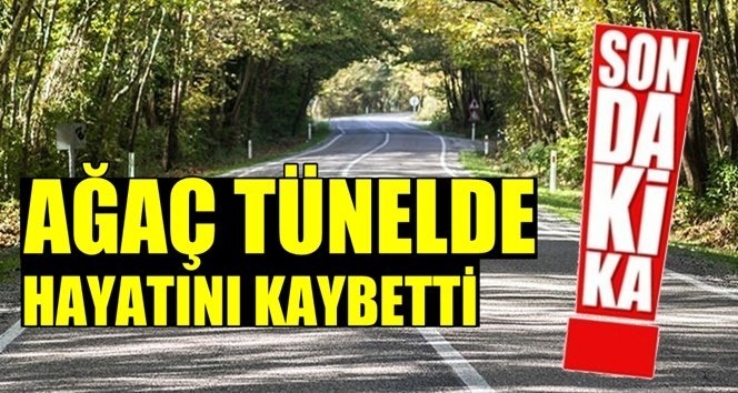 Fotoğraf çektirirken canından oldu!.