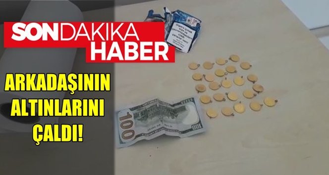 Kağıt havludan çıkan büyük servet!.