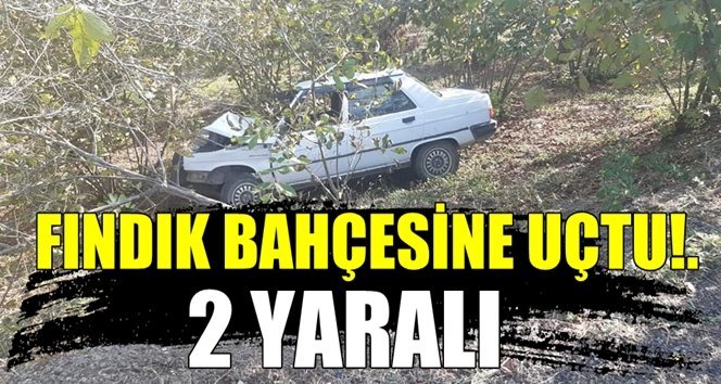 Fındık bahçesine uçtu!.