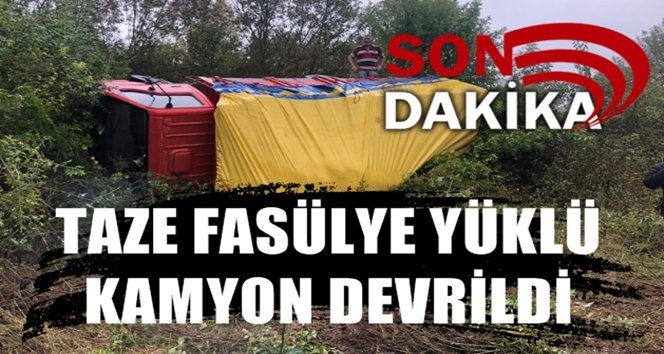 Islak yol kazaya neden oldu