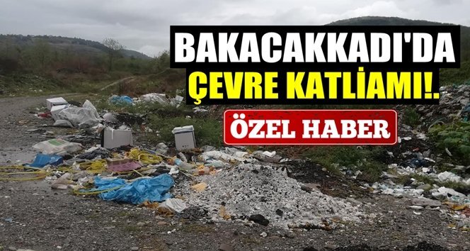Bakacakkadı’da çevre katliamı!.