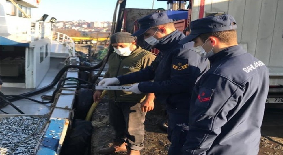 Zonguldak’ta 22 ton hamsiye el konuldu