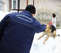 Zonguldak'ta sokak hayvanları unutulmadı