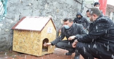 Çaycuma’da sokak hayvanları için yapılan kulübeler kentin çeşitli noktalarına konuldu.