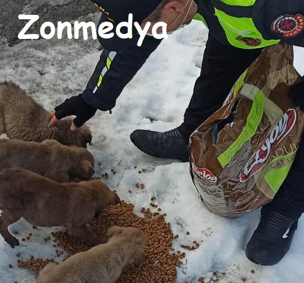 Jandarma ekipleri soğuk kış günlerinde can dostlarımızı unutmadı