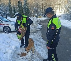 Zonguldak İl Jandarma Komutanlığı Trafik ekipleri