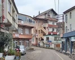 Zonguldak Türkali köyünde mutasyonlu virüs alarmı!